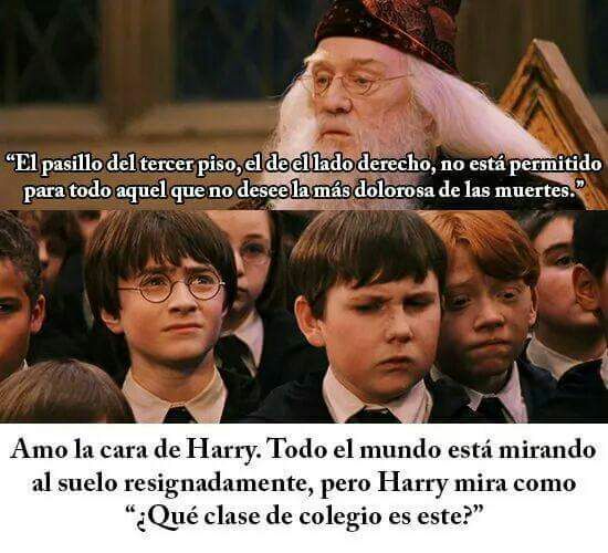 La cara de Harry es lo mejor | •Harry Potter• Español Amino