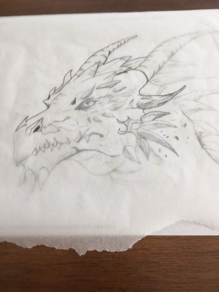 Elemental Dragon Trace Art! Masters Of Spinjitzu Amino