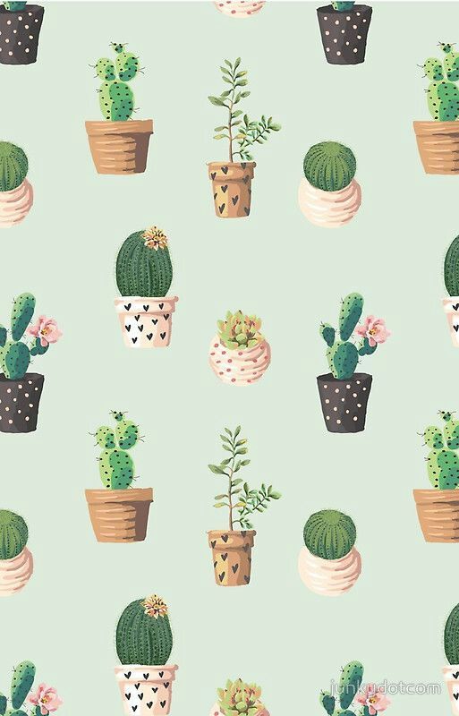 Cactus ❤ | Fondos de pantalla 🙌🏻 Amino