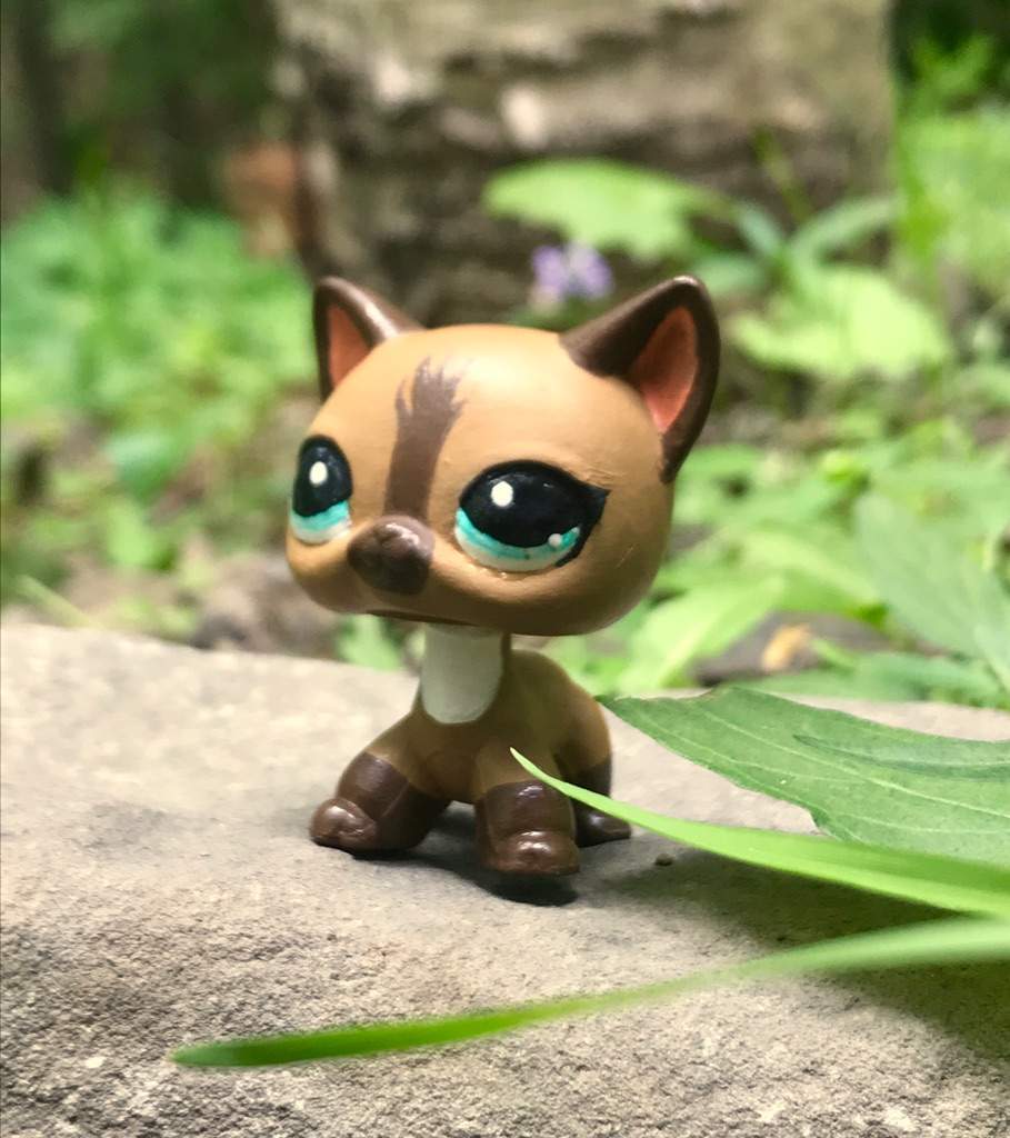 Lps Cat Custom 2024 ragdolls