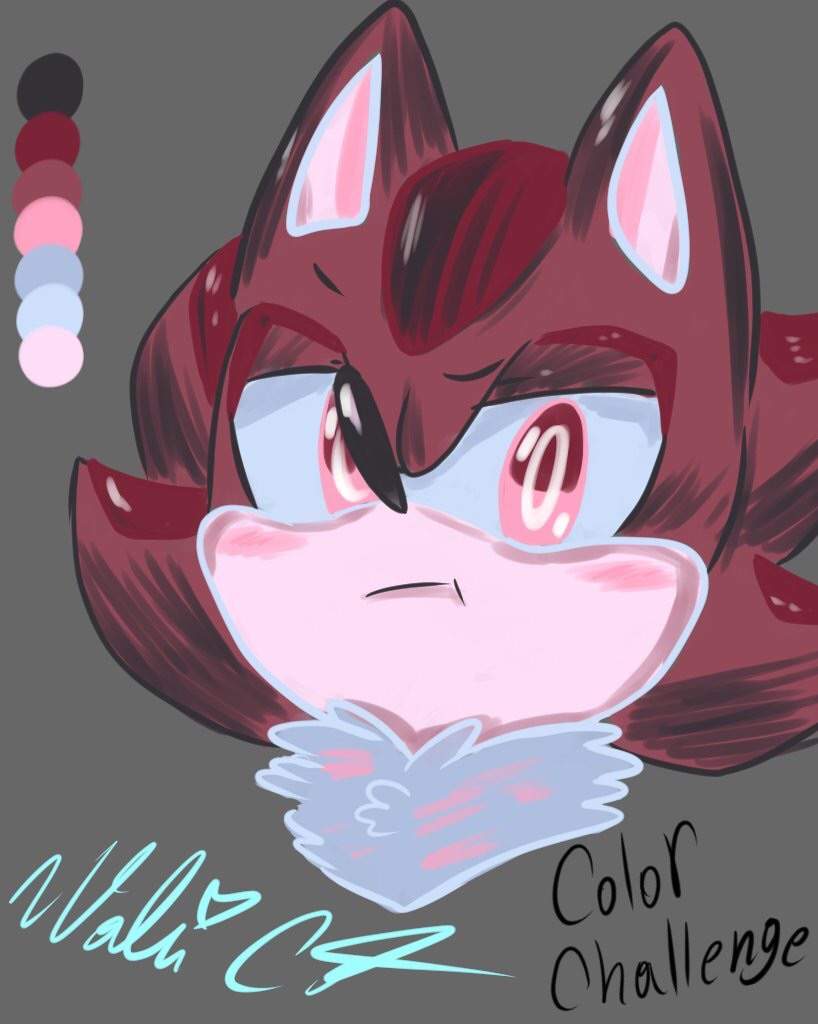 Shadow Color Palette Challenge! Sonic the Hedgehog! Amino