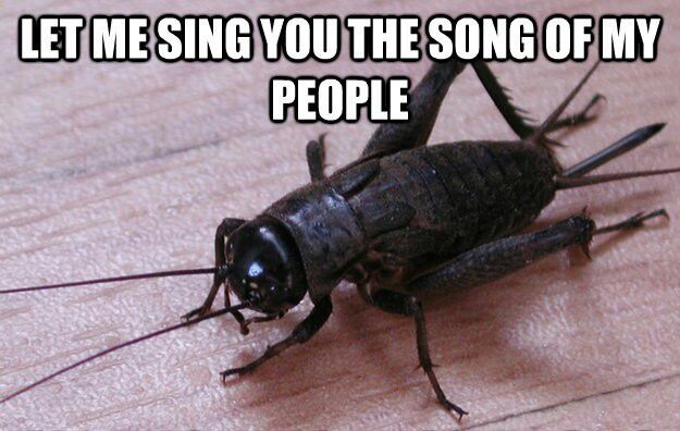 Cricket: Let me sing you the song of my people.