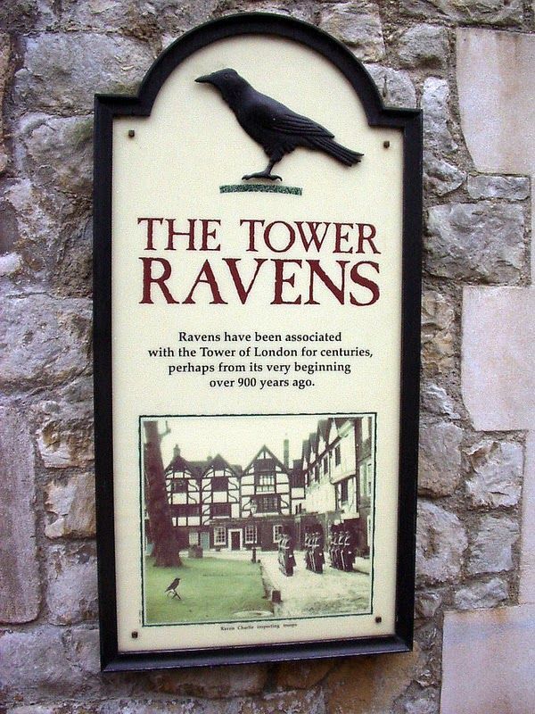 Resultado de imagen de cuervos de la torre de londres