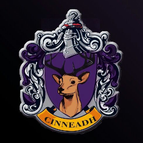 C I N N E A D H - Quinta casa de Hogwarts | •Harry Potter• Español Amino