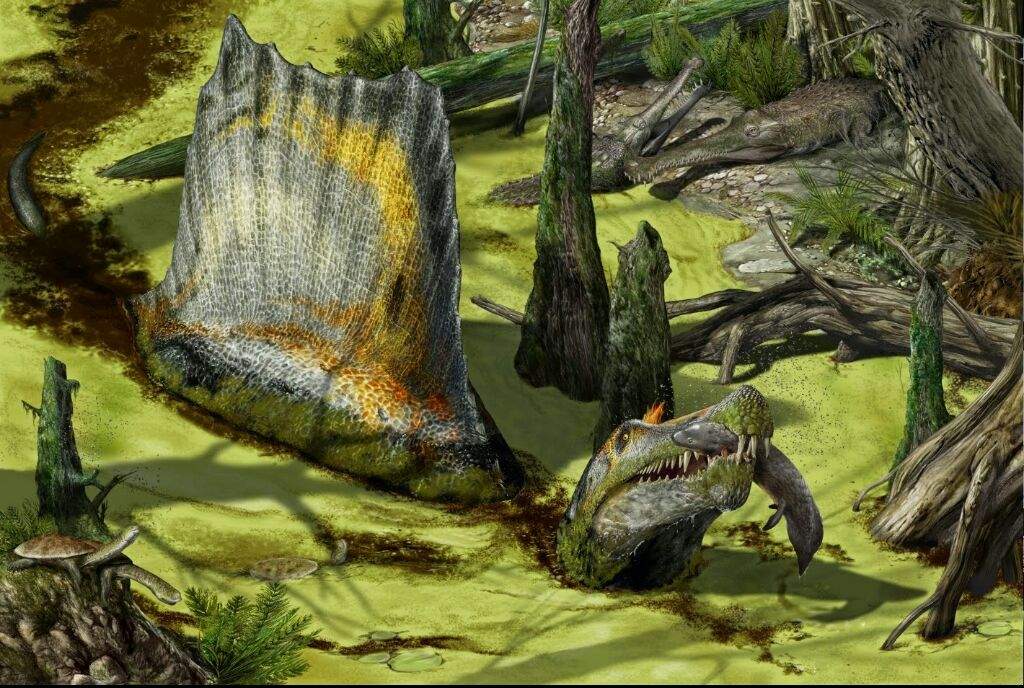 Spinosaurus | Dinosaur Planet Amino