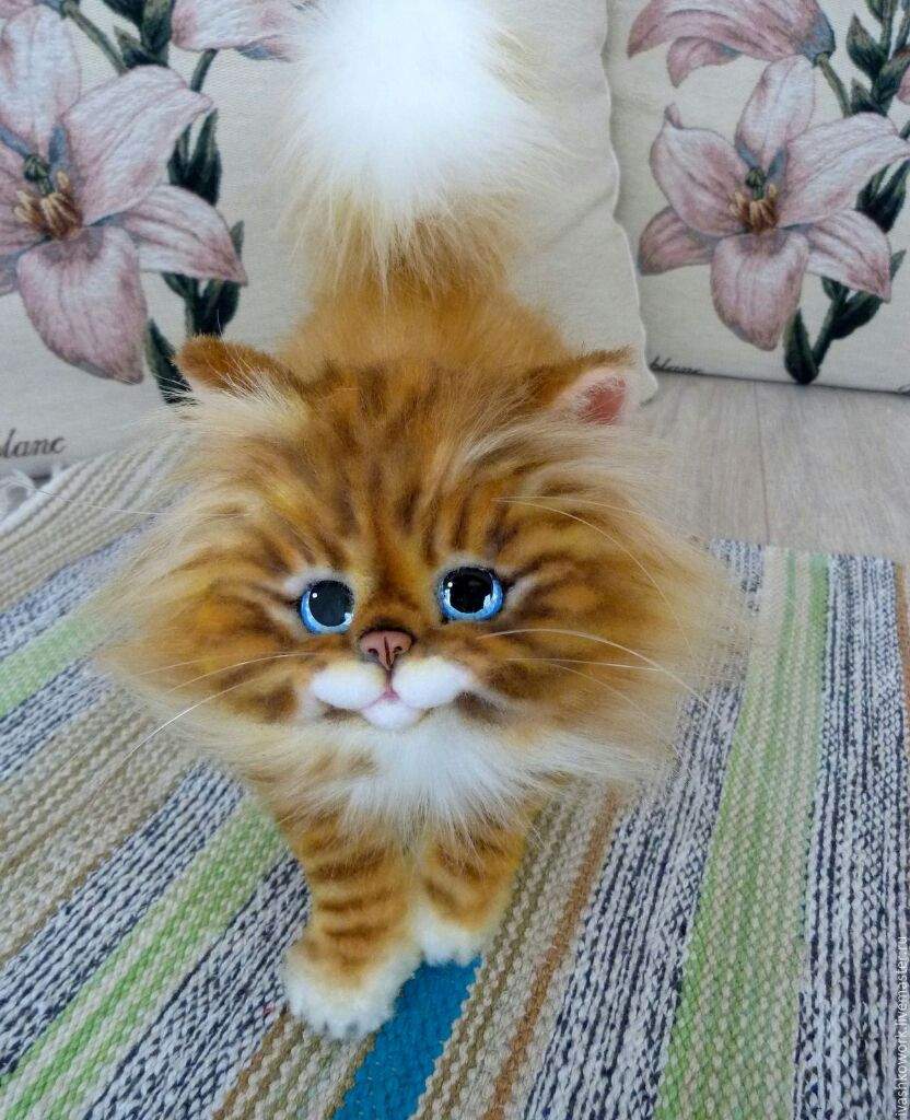 Пушистые котики | Wiki | ♡ CATSLOVE ♡ Amino