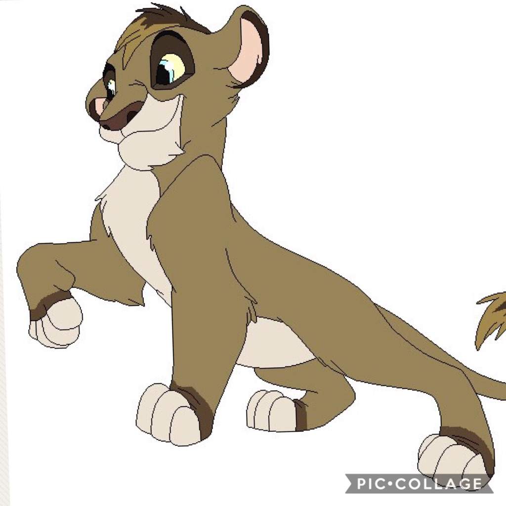 Kazi | Wiki | Disney's Lion King Amino Amino