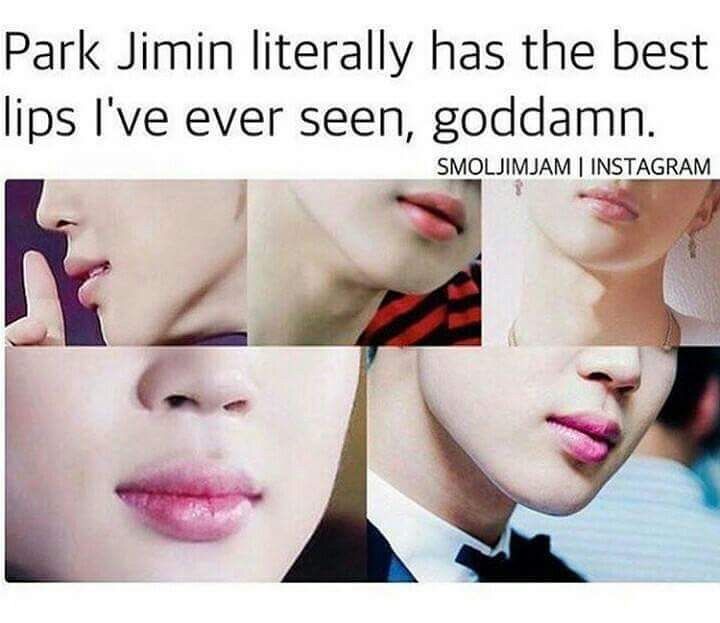 Jimin's lips | ARMY's Amino