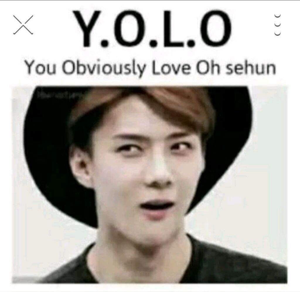 Random EXO Memes Forever 12 Amino