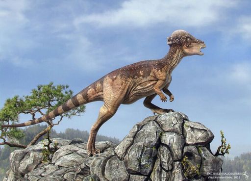 Pachycephalosaurus | Wiki | Dinosaur Planet Amino