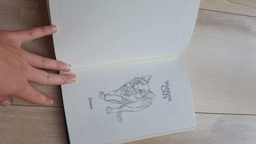 Featured image of post Warrior Cats Sketchbook