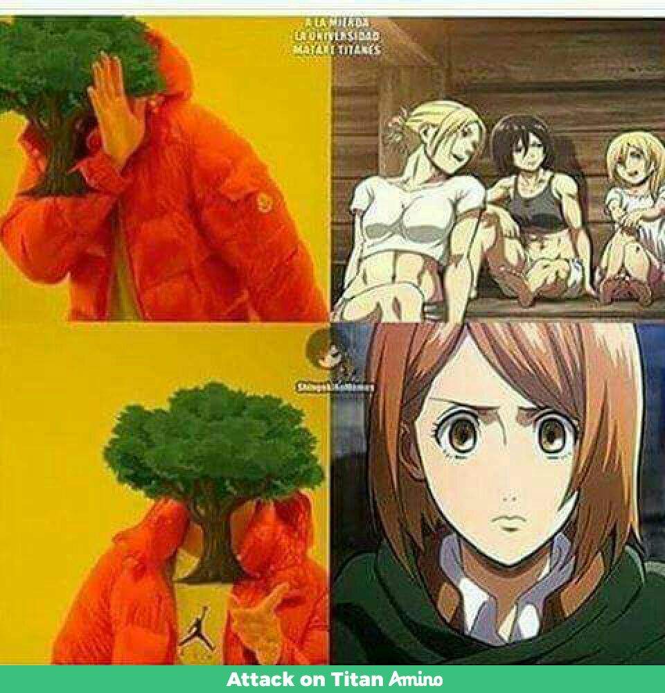 Attack On Titan Dirty Memes
