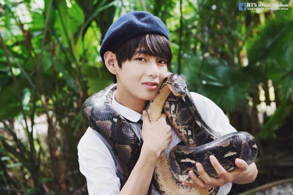 BTS with snakes? | ARMY's Amino Amino