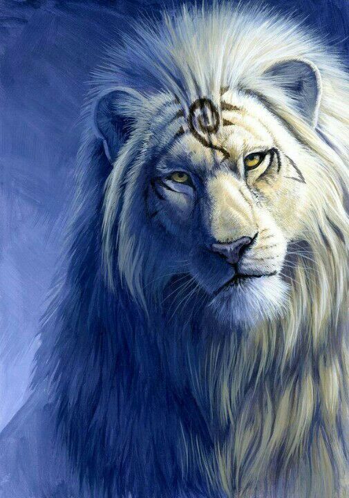 الأسد الأبيض الحياة البرية Amino Amino