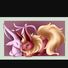 amino-THEGOLDENSYLVEON#Eeveelutionfanclub-abb29d15