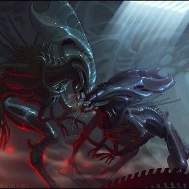 Behemoth Xenomorph King | Alien Versus Predator Universe Amino