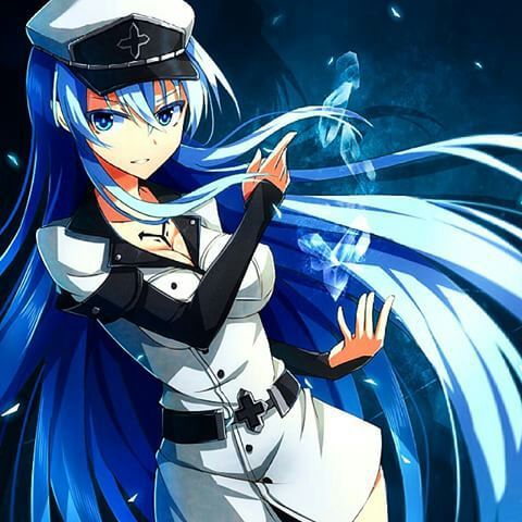 TOP TEN FACTS YOU MAY OR MAY NOT KNOW ABOUT ESDEATH | Anime Amino