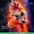 amino-goku master-ff6f7bfd