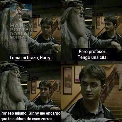 Memes | •Harry Potter• Español Amino