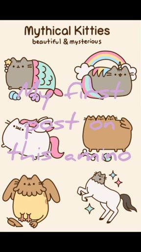 Facts about Pusheen | Pusheen The Cat Amino Amino