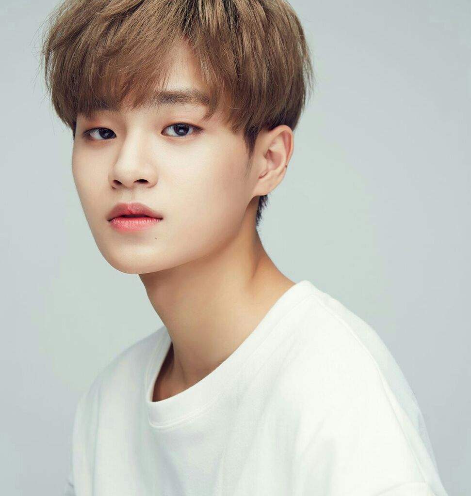 Daehwi Appreciation ღ | K-Pop Amino