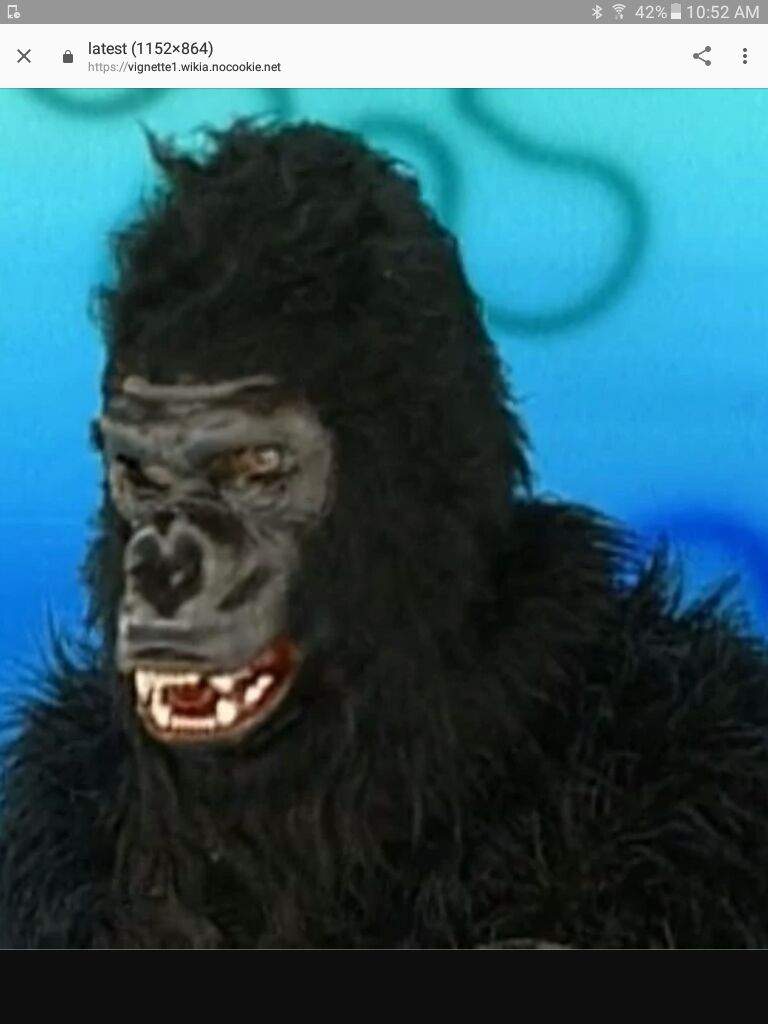 Who Was Scared Of The Gorilla In I Had An Accident SpongeBob