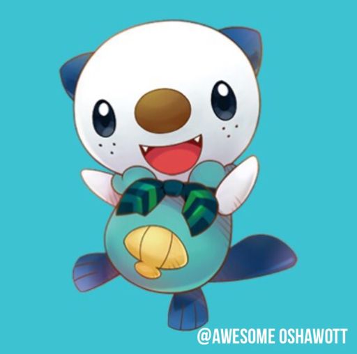 💦 ミジュマル💦 | Wiki | Pokémon Amino