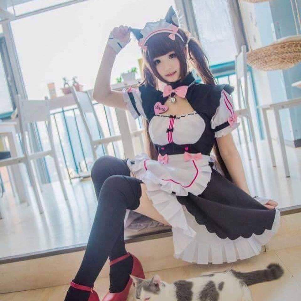 nekopara bunny suit