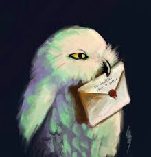 Hedwig | Harry Potter Amino