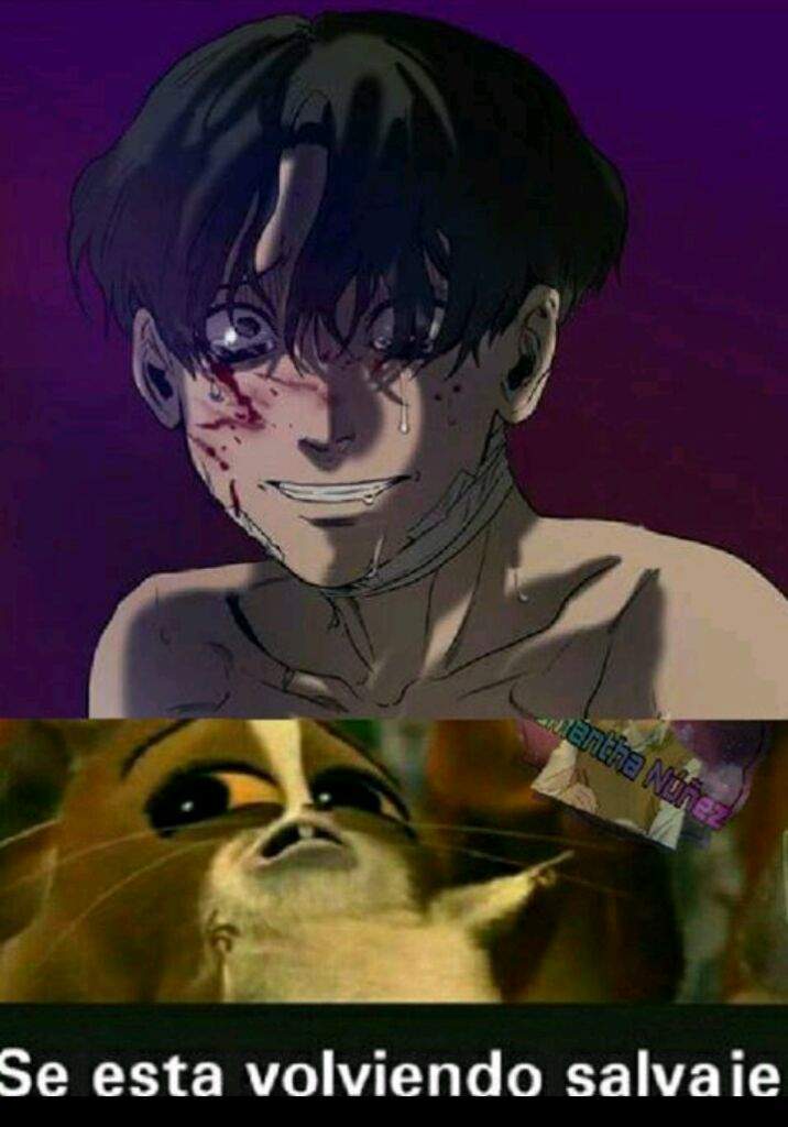 Memes de killing stalking | Yaoi Amino Español Amino