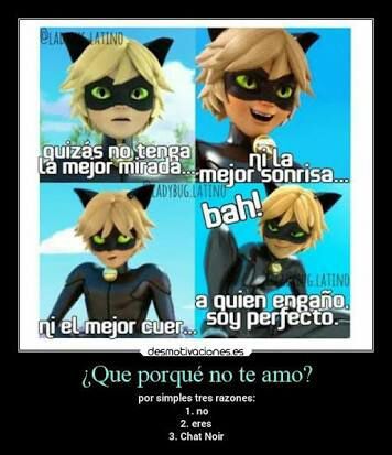 Memes Miraculous Ladybug Espanol Amino