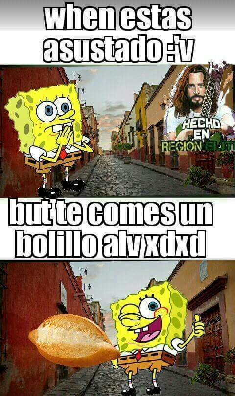 Mushos momos 9 | •Guerra De Memes Amino• Amino
