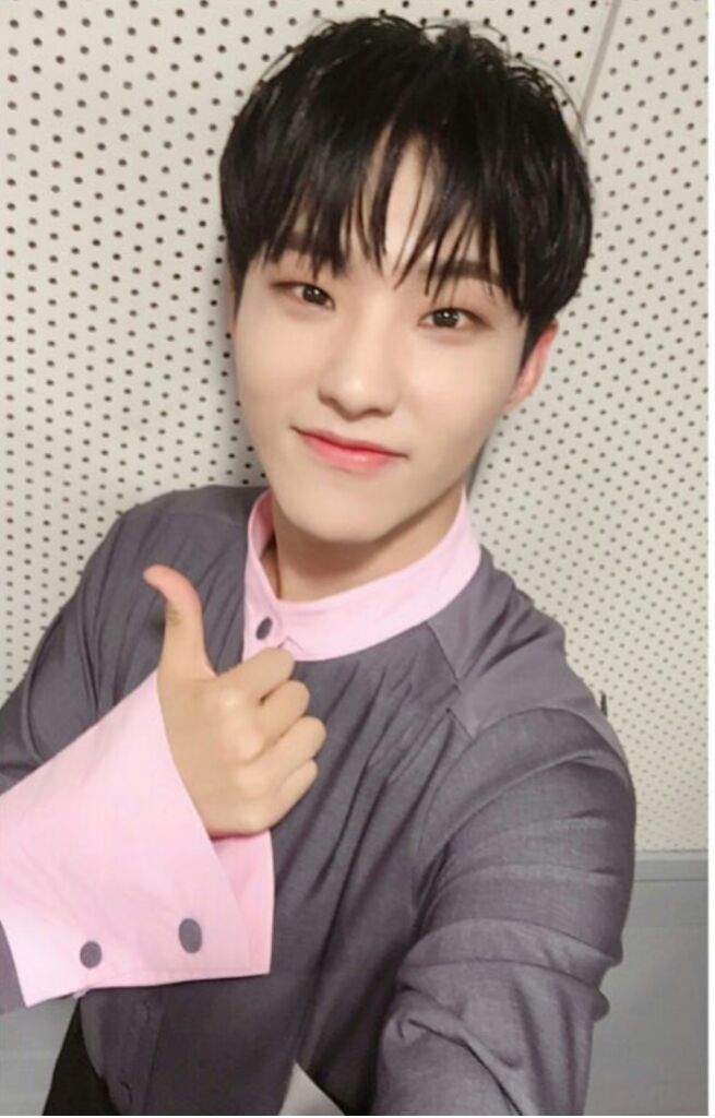 Hoshi Wiki Carat Amino