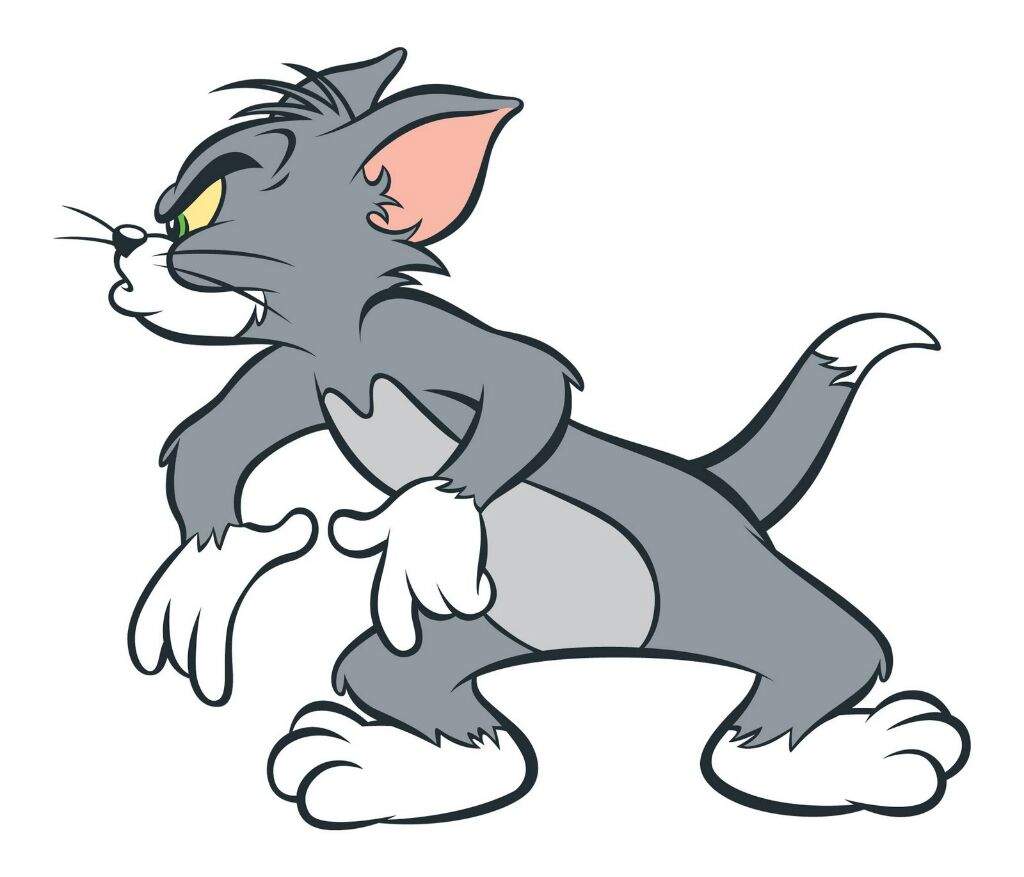 Tom y Jerry Wiki Warner Bros Animation Español Amino