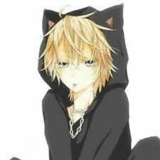 Neko family | Wiki | •Anime• Amino