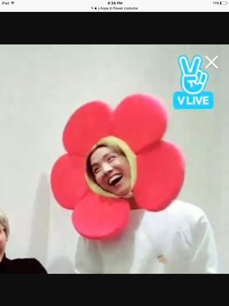 J Hopes Rainbow Flower 35 Images Bts J Flower Boy J Rainbow Flower Hobi Jhope Hobicore Posters Redbubble