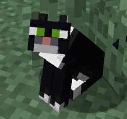 Minecraft ( Computer ) | Wiki | Black Cat Society Amino Amino