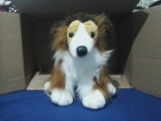 Two More Webkinz Signature Short Haired Yorkie And Collie