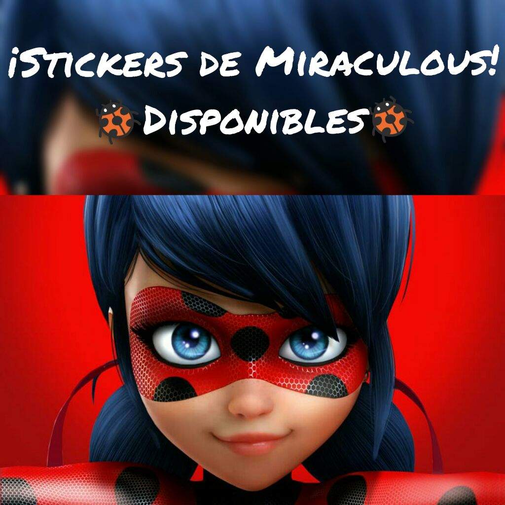 Stickers De Miraculous Ya Disponibles Comprobacion Y Activalo Mas Facil Miraculous Ladybug Espanol Amino