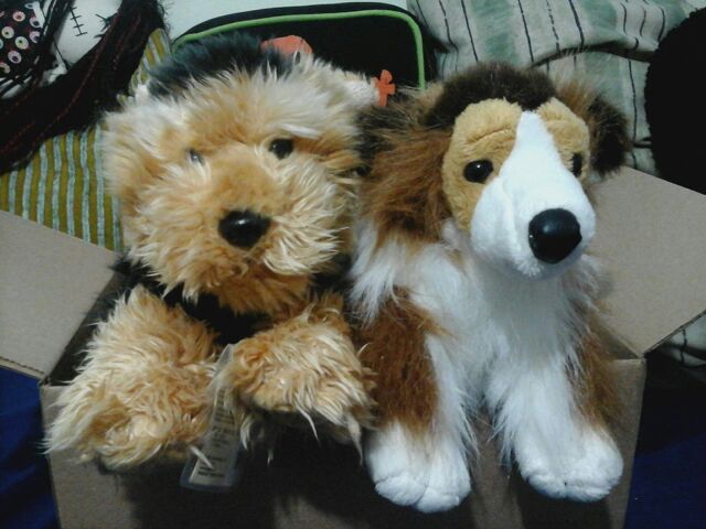 Two More Webkinz Signature Short Haired Yorkie And Collie