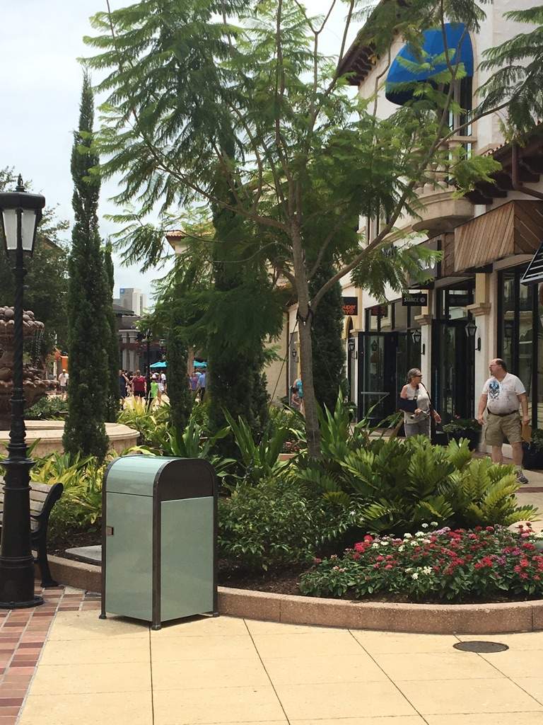 Disney Springs Wiki Disney Amino