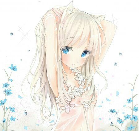 Neko Ari | Wiki | Anime Amino