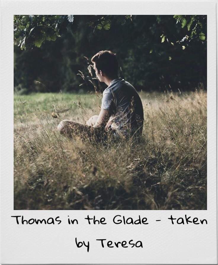 The Maze Runner Instax Mini Polaroids  ~\u2022~ Thomas