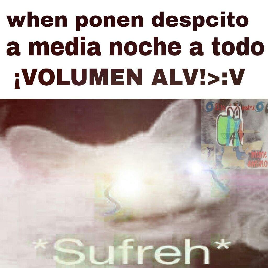 Son Las Meme Amino