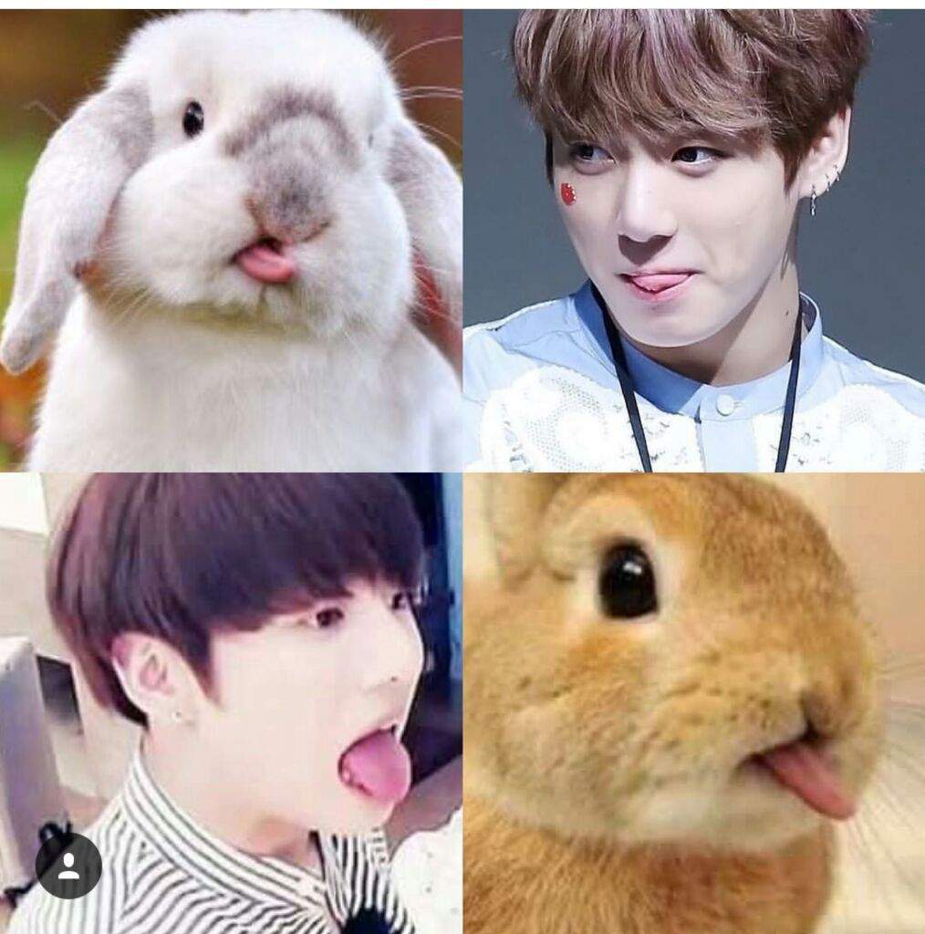 jungkook bunny doll