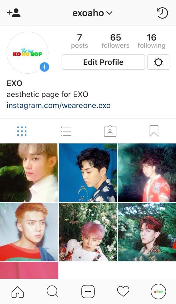 Exo Instagram Account Exo