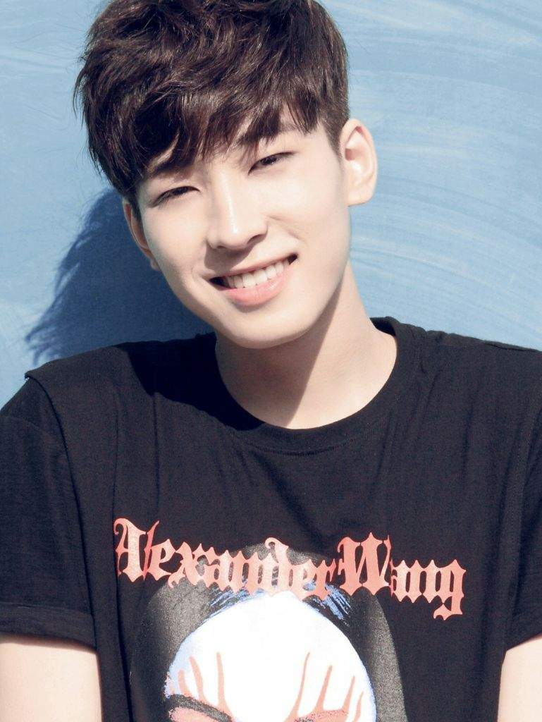 Happy Birthday Jeon Wonwoo!!! | Seventeen Amino Amino