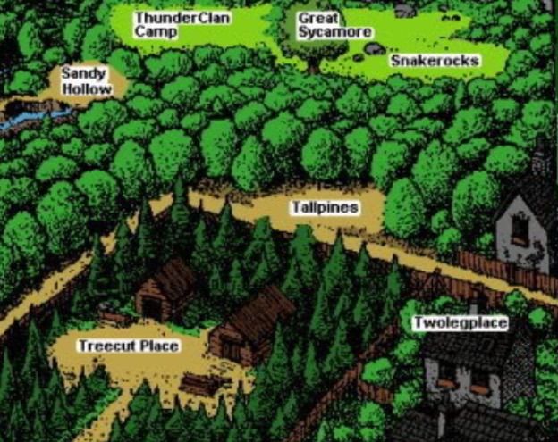 Thunderclan Forest Territory~BookClan Report | Wiki | Warriors Amino