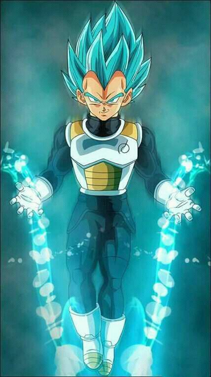 Vegeta B | DragonBallZ Amino