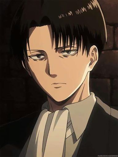 Captain levi | Wiki | Anime Amino